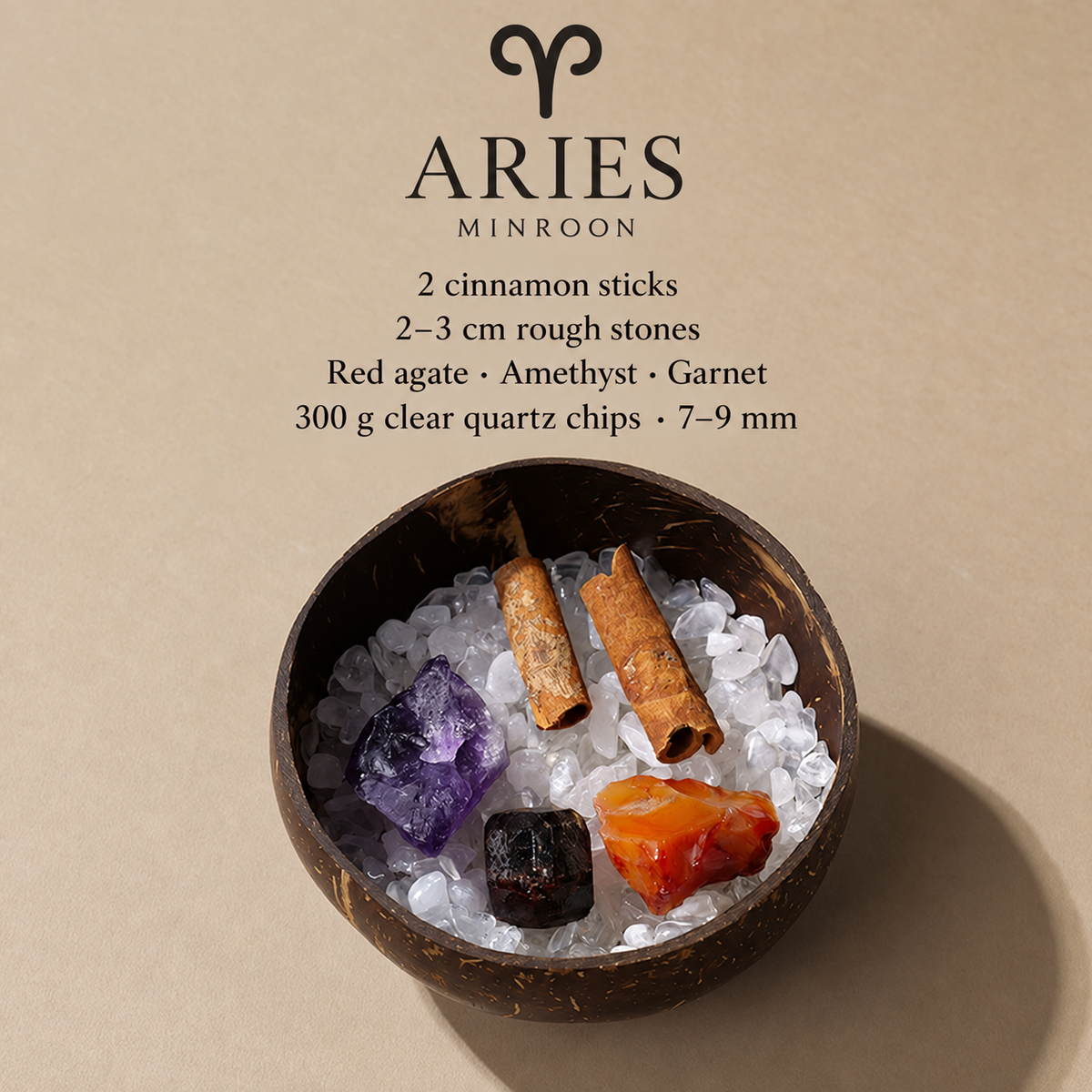 MINROON Aries zodiac coconut shell bowl with clear quartz chips and three rough stones