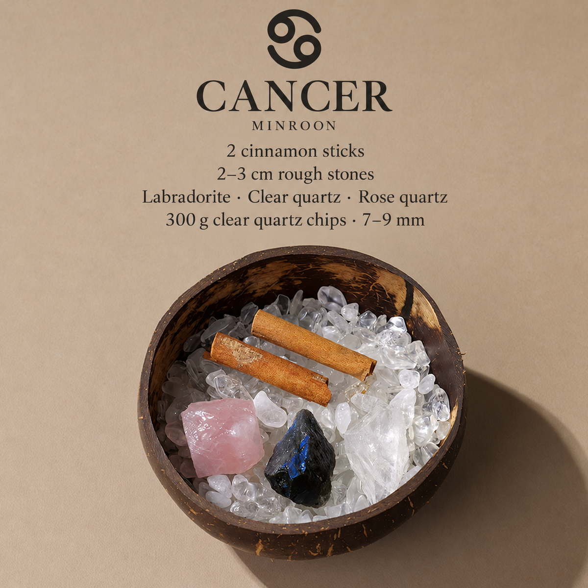 MINROON Cancer zodiac coconut shell bowl with clear quartz chips and three rough stones
