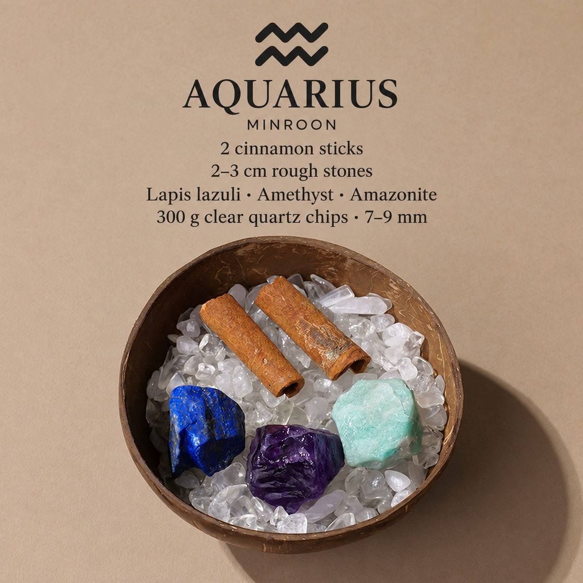 MINROON Aquarius zodiac coconut shell bowl with clear quartz chips and three rough stones